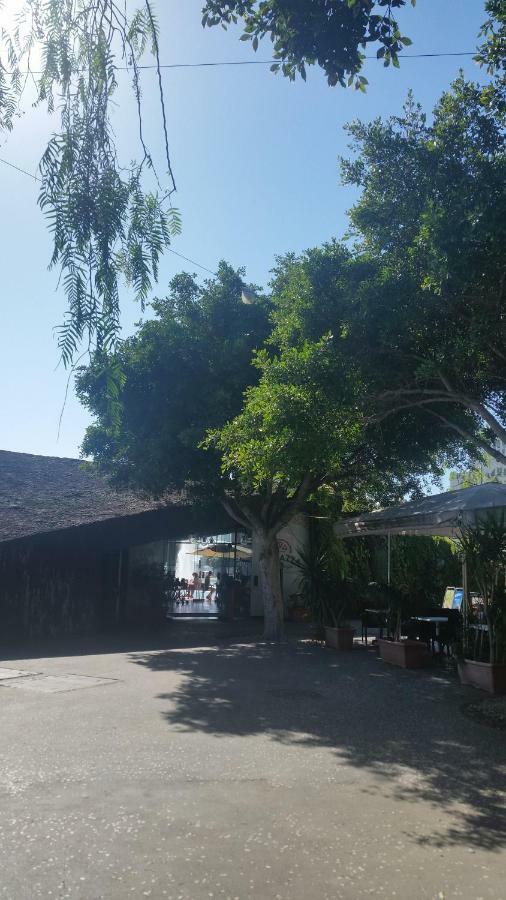 Habitacion Con Bano Privado Σάντα Κρουζ Τενερίφης Εξωτερικό φωτογραφία